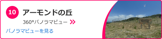 アーモンドの丘