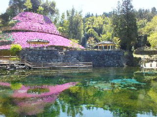 名水百選「丸池湧水」