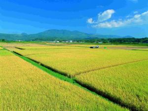 肥沃な田園地帯