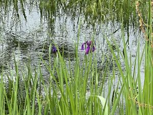 5月29日の状況