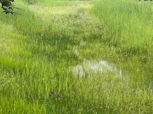 6月2日状況