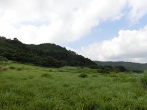 土地写真
