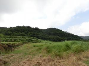 土地写真