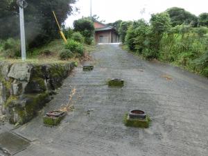 入口