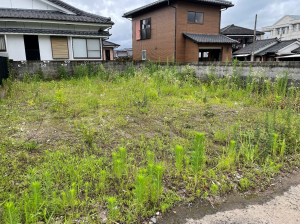 土地